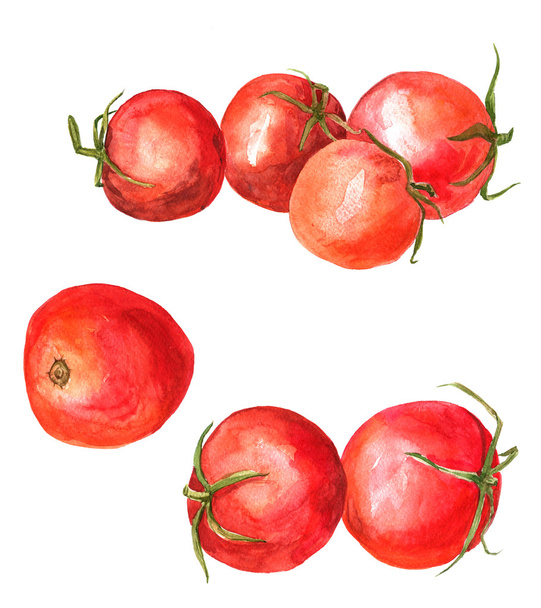 Set of watercolor drawing tomatoes - Foto, imagen
