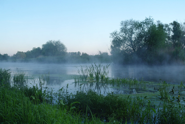 Ранковий пейзаж з туманом на річці
 - Фото, зображення