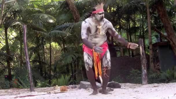 Yugambeh Aboriginal warriors men sing play and dance during Aboriginal culture show - Felvétel, videó