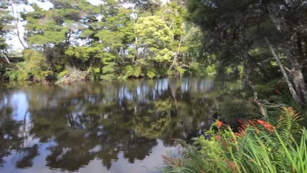 Kerikeri-vízesés természetvédelmi - Felvétel, videó