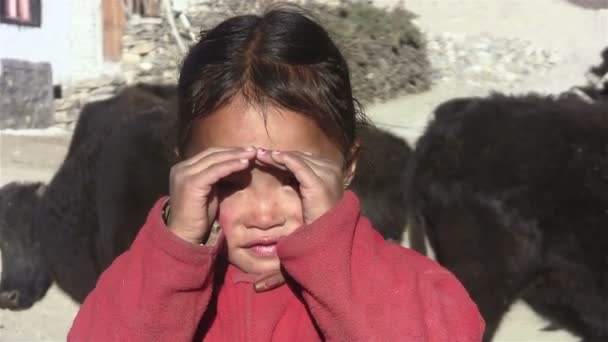 Sherpa baba - Felvétel, videó