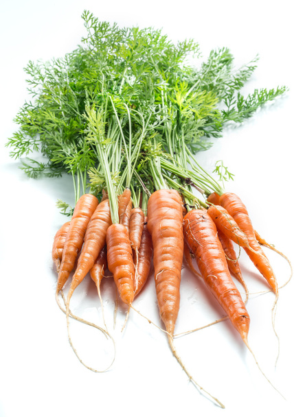 Carrots with greens on the white background. - Photo, Image