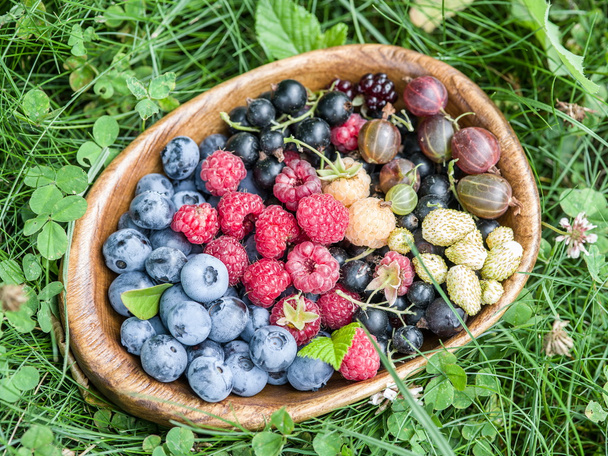 Ripe berries in the wooden bowl over green grass. - Φωτογραφία, εικόνα