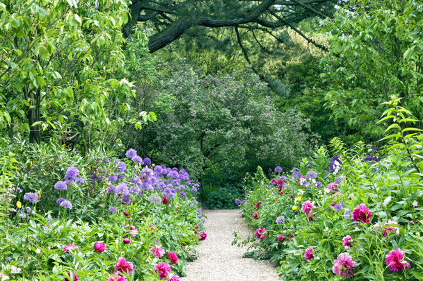 Camino jardín de piedra en medio de flores casa de campo de verano, arbustos, árboles
 - Foto, imagen