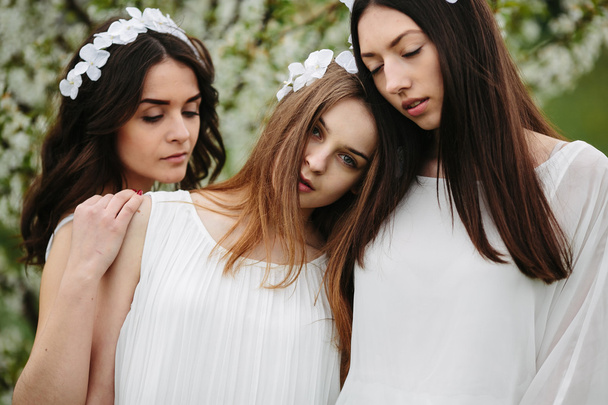 three beautiful girls - Valokuva, kuva
