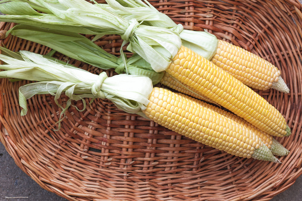 corn on the cob in a basket from a rod with a place for inscription - Фото, изображение