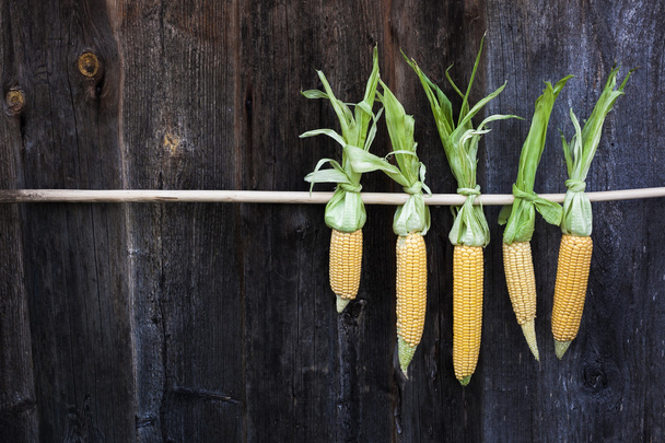 ears of corn on a background of aged board with space for writing - 写真・画像