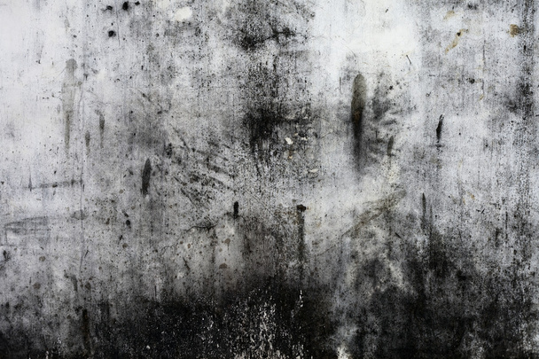 Background from high detailed fragment stone wall - Valokuva, kuva