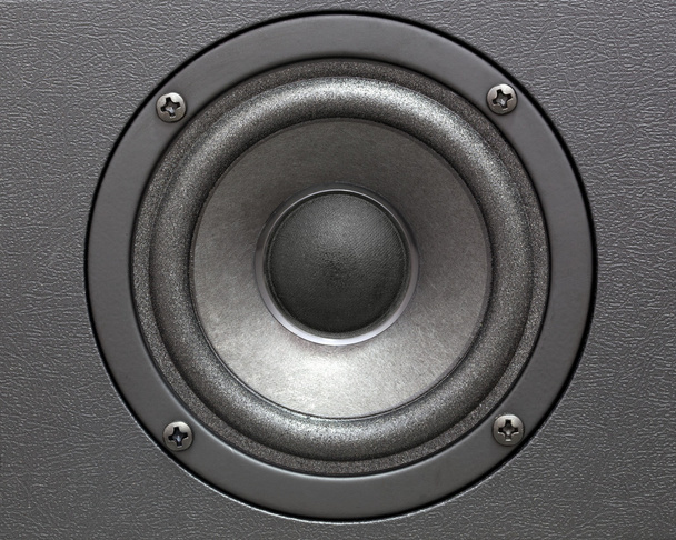 Acoustic speaker - Fotó, kép