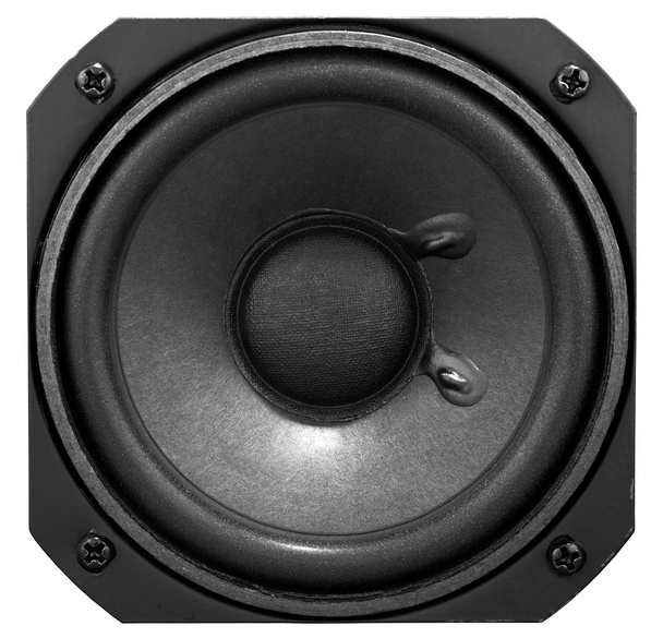 Acoustic speakers isolated - Photo, Image