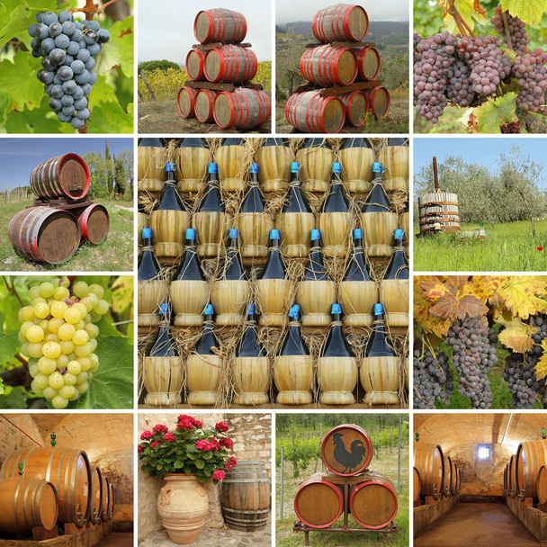 Tradition vinicole toscane
 - Photo, image