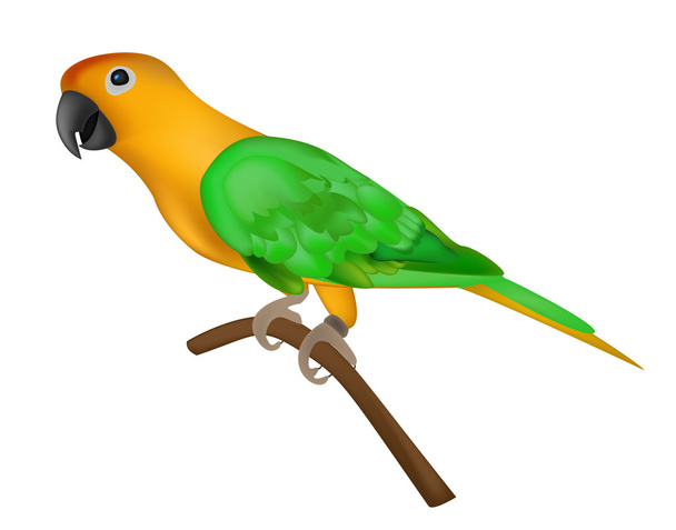 Красивий барвистий папуга ізольований на білому фоні вектор i
 - Вектор, зображення