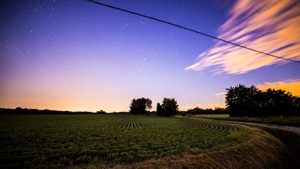 Nacht auf den Feldern - Foto, Bild