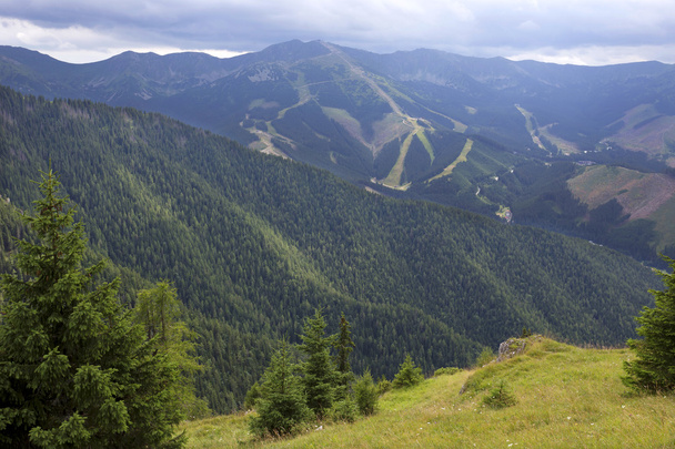 Bezdroża w góry Słowacja Tatry Niskie - Zdjęcie, obraz