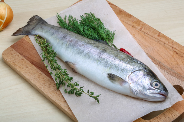 Raw trout - Photo, Image