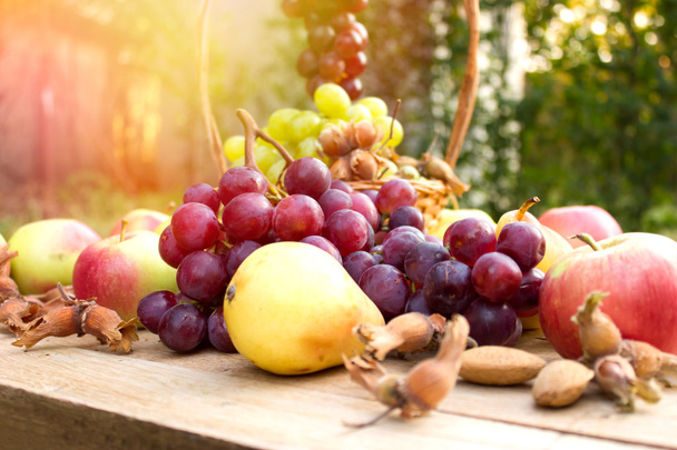 Frutta fresca autunnale biologica
 - Foto, immagini
