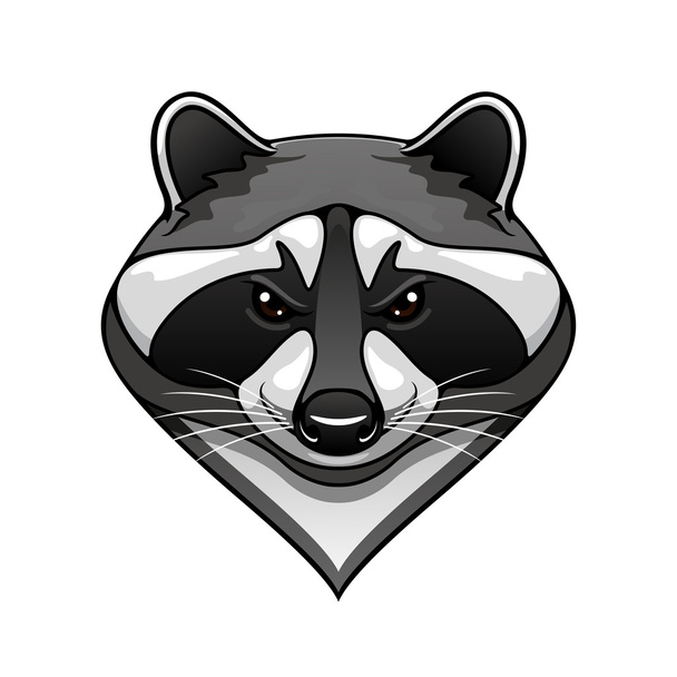 Cartoon wild raccoon animal mascot - Vektori, kuva