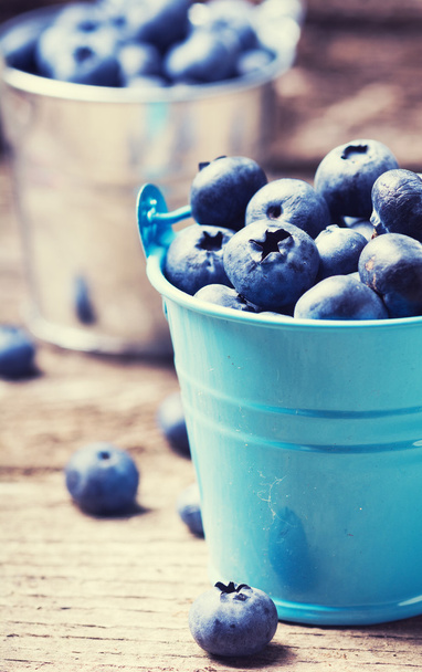 Blueberries - Fotó, kép