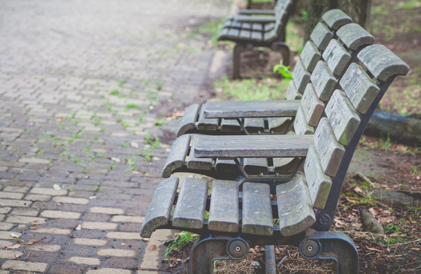 Wooden benches at pubic park - Photo, image