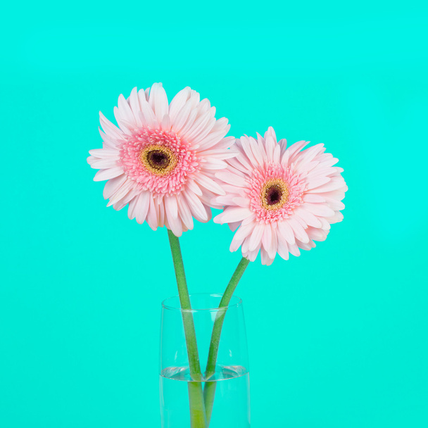Sweet pink Gerbera flower, romantic moment
 - Фото, изображение