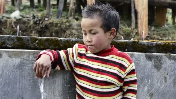 Sherpa fiúk - Felvétel, videó