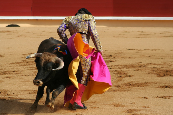 Matador und Stier im Ring - Foto, Bild