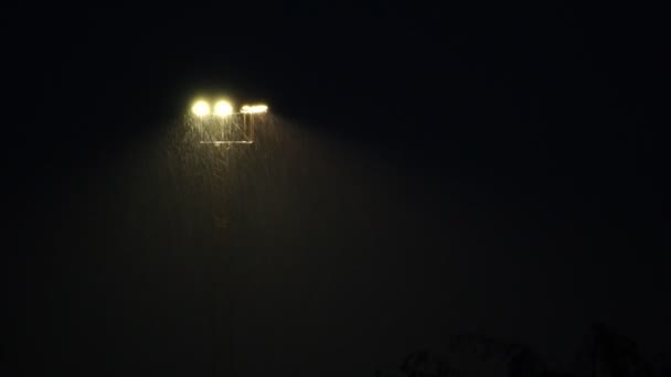 Προβολείς σταδίου τη νύχτα κατά τη διάρκεια ενός βαρέως ντους ψιλής βροχής. - Πλάνα, βίντεο