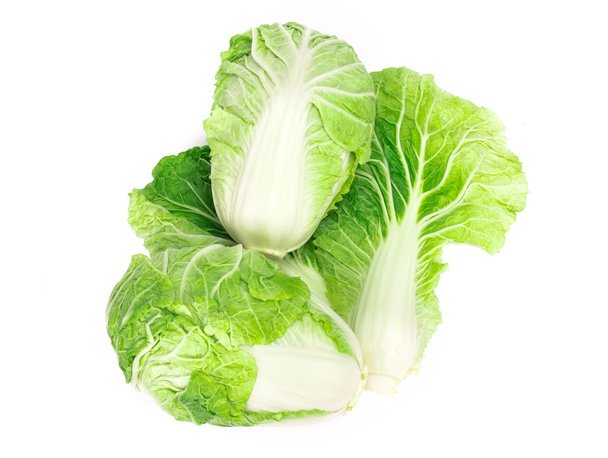 fresh chinese cabbage  on a white background - Fotoğraf, Görsel