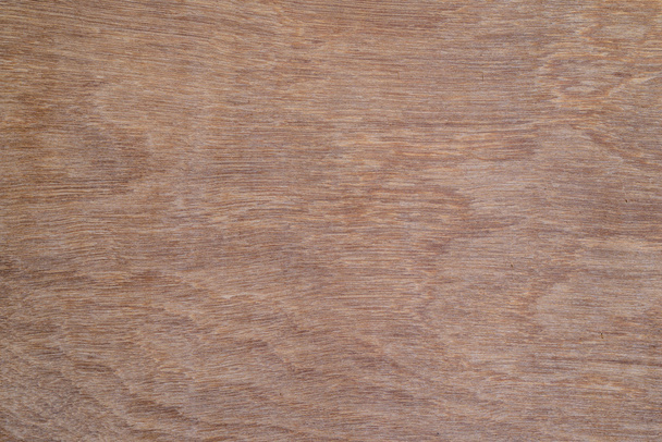 Sliced wooden texture use for background. - Photo, Image