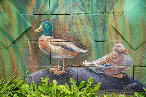 Wildenten-Männchen und -Weibchen sitzen auf einem Stein, Acrylmalerei an einer Wand - Foto, Bild