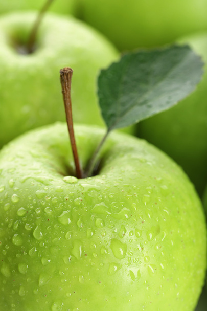 Ripe green apples close up - Photo, Image