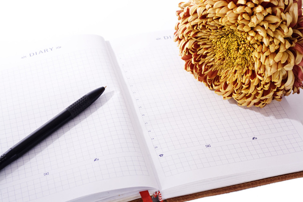 Особистий щоденник і квітка
 - Фото, зображення