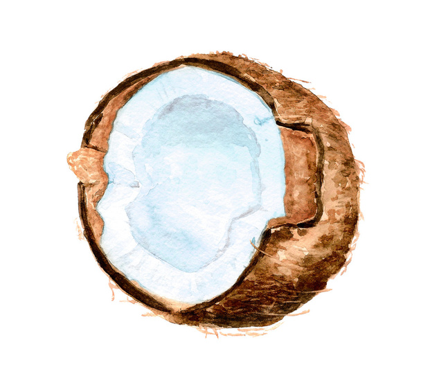 Half of coconut - Fotografie, Obrázek