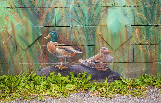 canard sauvage mâle et femelle assis sur une pierre, peinture acrylique sur un mur
 - Photo, image