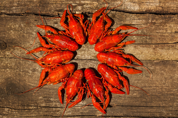 Cancers to beer, dill, boiled crawfish, beer snacks, pub, texture, crayfish, sea crayfish - Foto, afbeelding