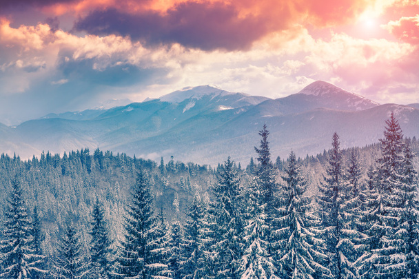 winter sunrise in the Carpathian mountains. - Photo, Image