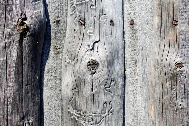 Background of natural wooden canvas. - Foto, immagini