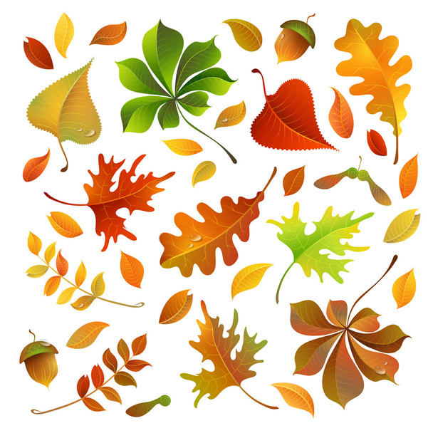 autumn leaves background - ベクター画像