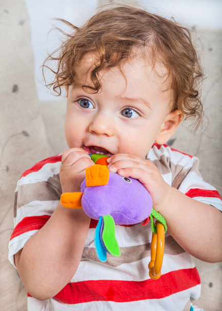 Дитячий хлопчик жує іграшку
 - Фото, зображення