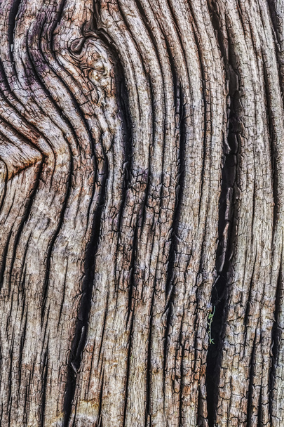 Старий замерзлий гнилий тріснутий квадратний дерев'яний болард текстури поверхні
 - Фото, зображення