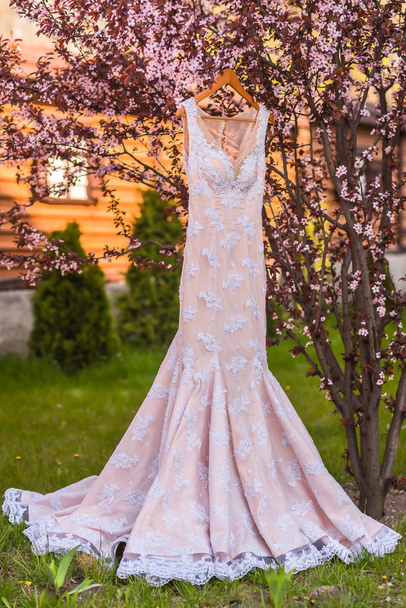 wedding dress - Photo, Image