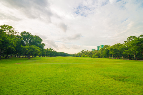 Pelouse verte sur le terrain du parc à Bangkok
 - Photo, image