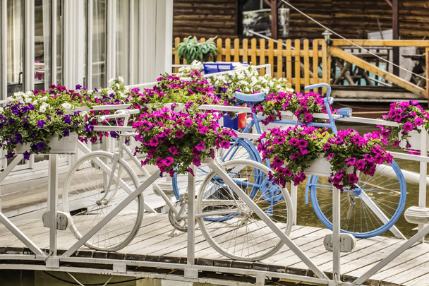 Fehér és kék festett kerékpárok egy élénk virágos elrendezése - Fotó, kép