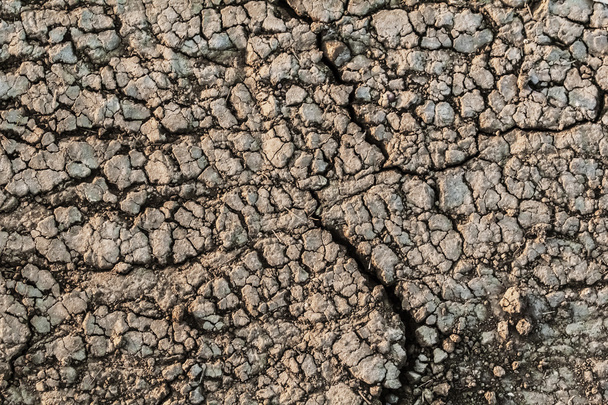 Bodemoppervlak droog, verschroeide, dorre, woest en gebarsten - Foto, afbeelding