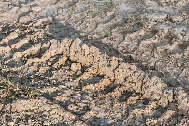 Сухая выжженная бесплодная пустынная треснутая почва
 - Фото, изображение
