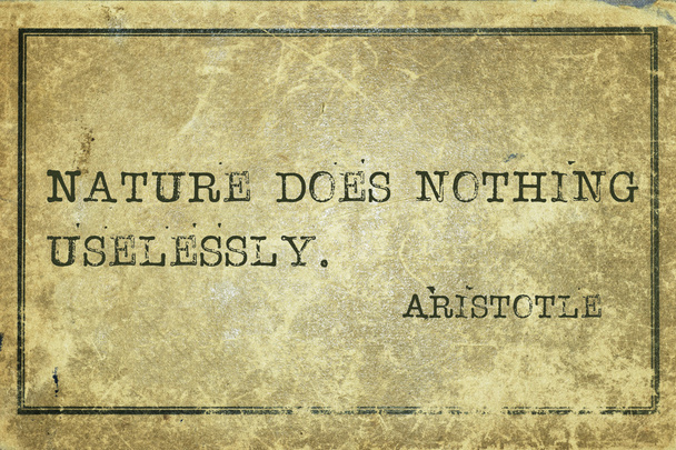 természet Arisztotelész - Fotó, kép