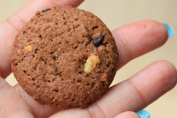 Chocolate chip cookies - Photo, Image