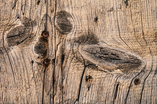 Старий тріщинами вузлом дощата гвинтами іржавий Філліпс вбудовані - Фото, зображення