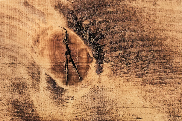 Старі нотки тріщини грубої текстури Планка - докладно
 - Фото, зображення