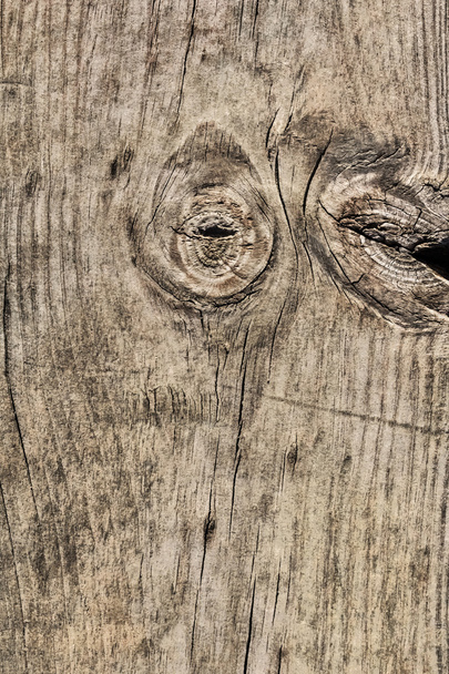 Viejo envejecido podrido agrietado cuadrado madera bolardo grunge bituminoso superficie textura detalle
 - Foto, imagen